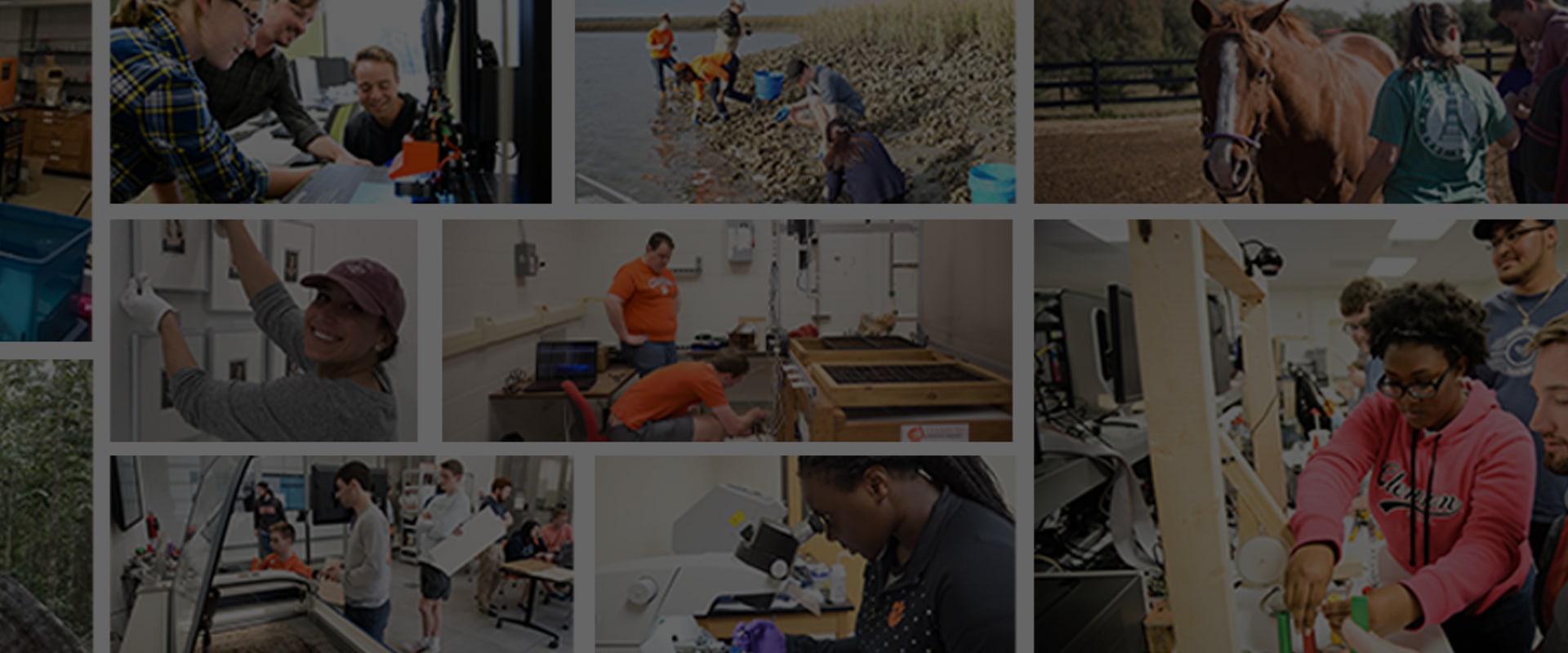 Innovative Approaches to Community Projects in Southeast South Carolina
