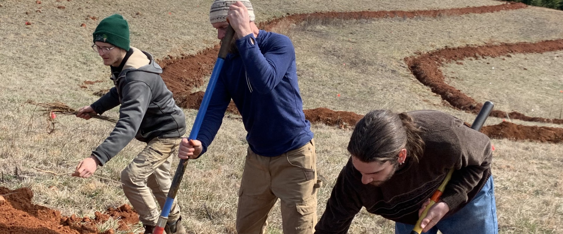 The Power of Volunteers in Community Projects in Southeast South Carolina