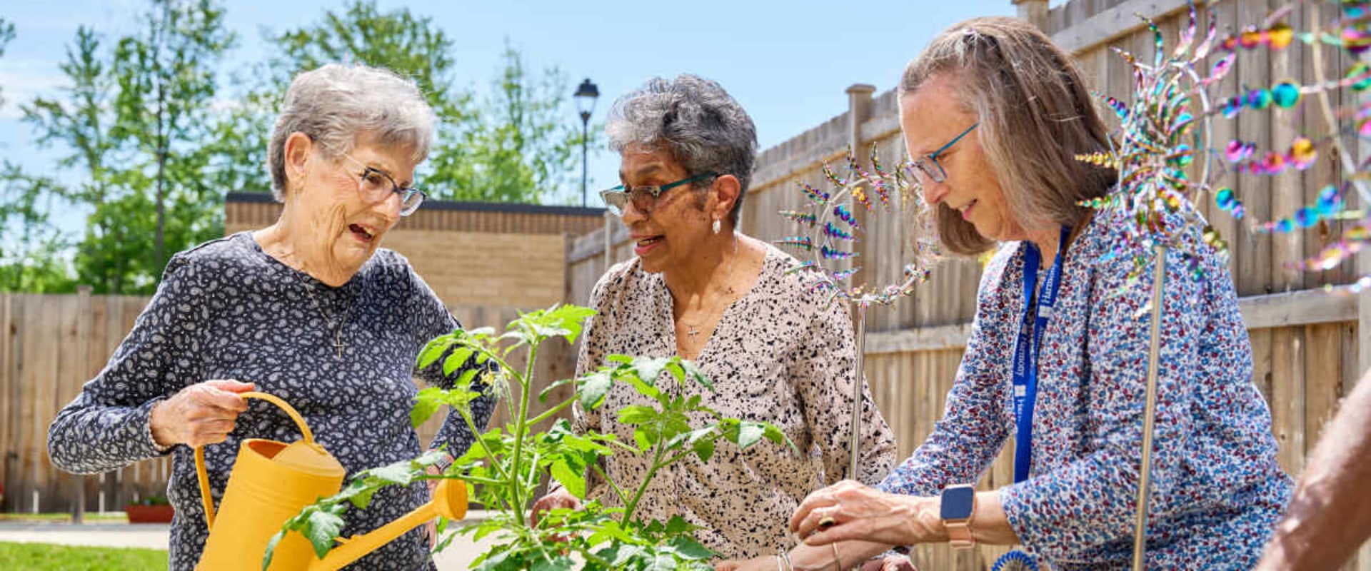 Engaging Senior Citizens in Southeast South Carolina: The Power of Community Projects