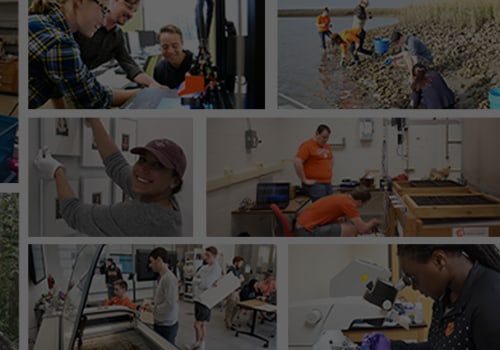 Innovative Approaches to Community Projects in Southeast South Carolina