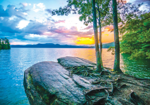 Sustaining Community Projects in Southeast South Carolina: Strategies for Long-Term Impact